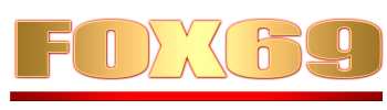 Logo Fox69